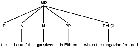 This diagram shows the structure of a NP with a head ('garden') and four dependents phrase structure diagram showing break down of NP into head and four dependents
