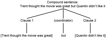 This diagram represents the way two independent clauses can be combined using a coordinator to form a compund sentence phrase structure diagram showing split of compound sentence into clause 1, coordinator and clause 2